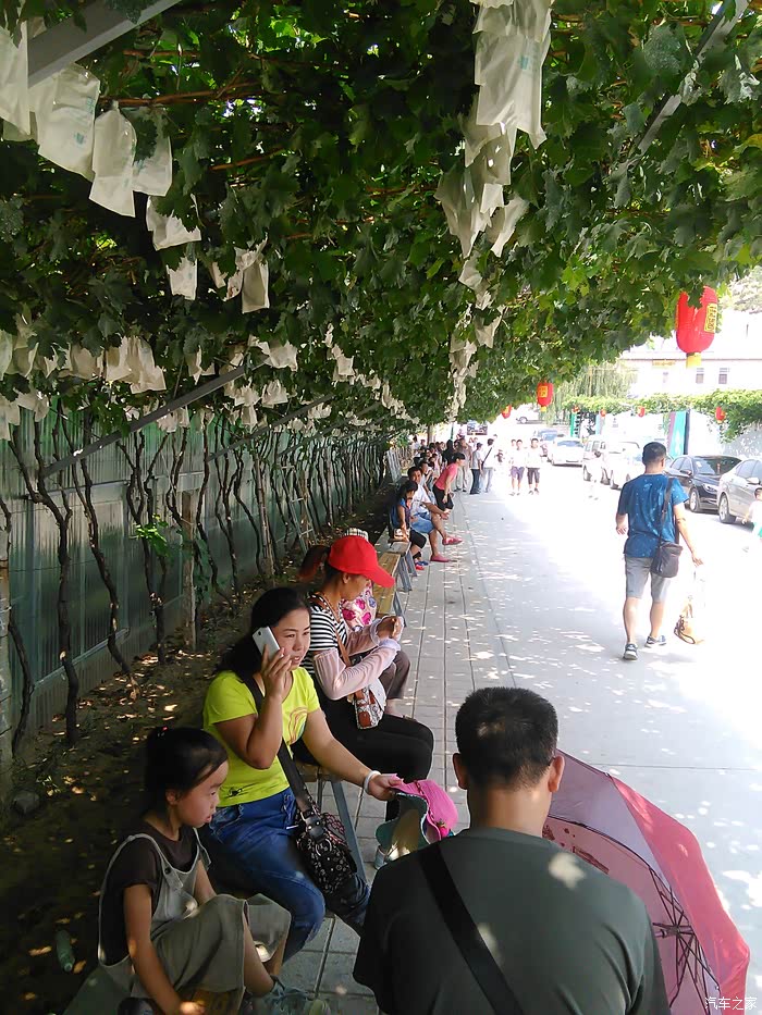 的葡萄架下确实是个乘凉的地方
