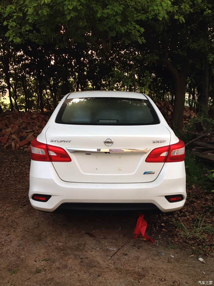 16款新轩逸尊享版(白色)提车作业