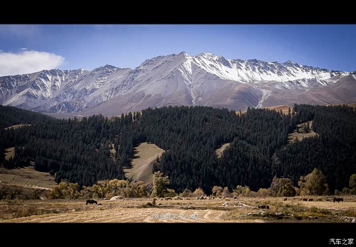 【静态电影】西行10000里 寻找记忆之外的自由之地 (上)