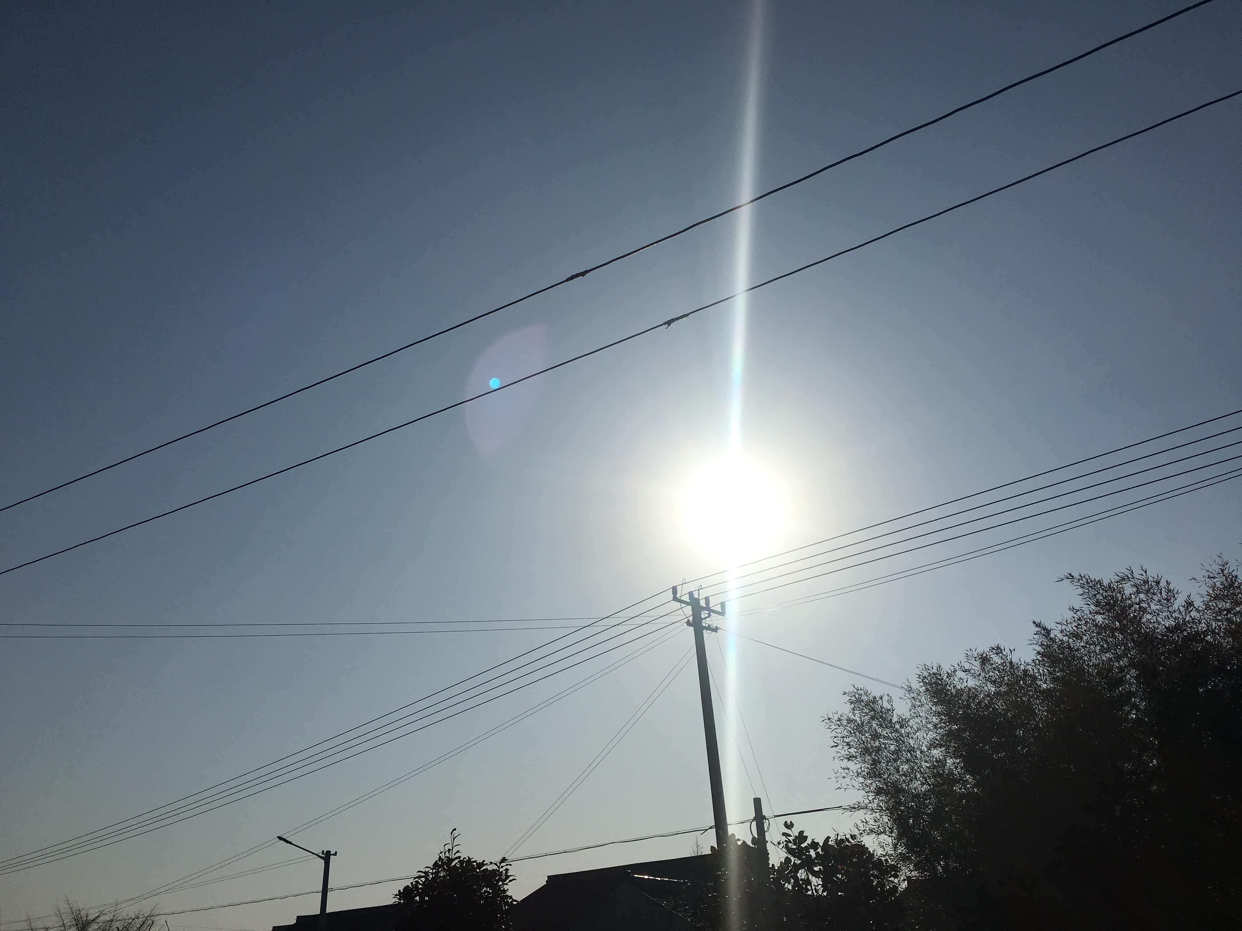 今天太阳暖洋洋